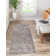 Ameire Oriental Indoor Rug