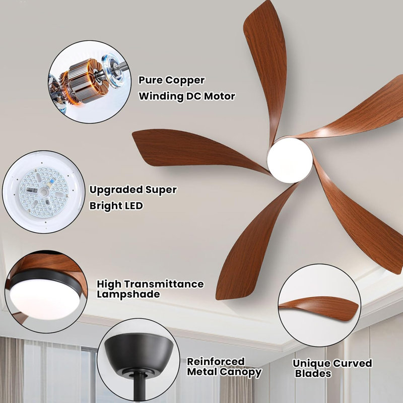 Intelligent Ceiling Fan