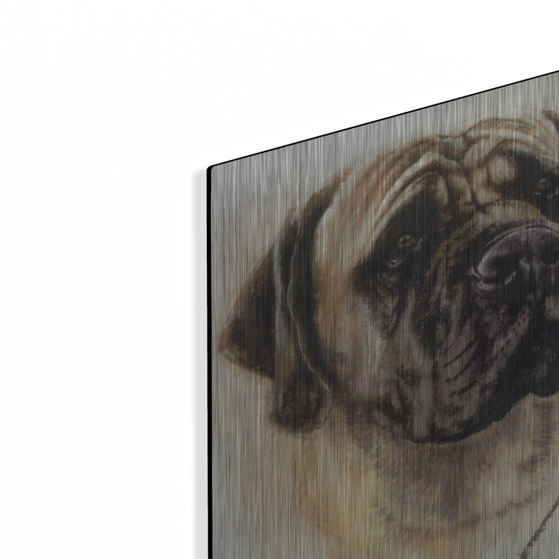 "Mastiff" par Barbara Keith, H 16 po x l 12 po