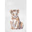 «Foulton Cuddly Baby Cub», reproduction sur toile tendue-2019855497