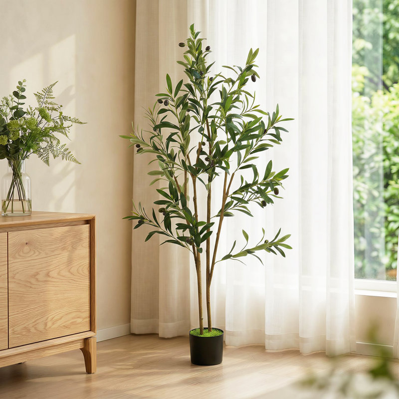 120cm Plant