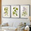 Arbre en fleurs I - reproduction sur mesure encadrée de qualité supérieure mate - 3 pièces-509831763-509831767