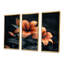 Orange orange, lis noir, printemps I, ensemble de reproductions d'art mural-1621735362-1621735366
