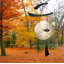 Carillon empereur gong-1236739062-1236739063