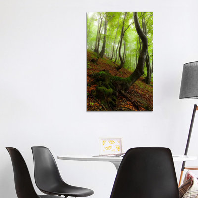 Poland, Bieszczady National Park I 1 Piece Wrapped Canvas Wall Art