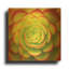 «Fiery Succulent» par Jan Bell, art mural en métal doré, 12 po x 12 po-133429635