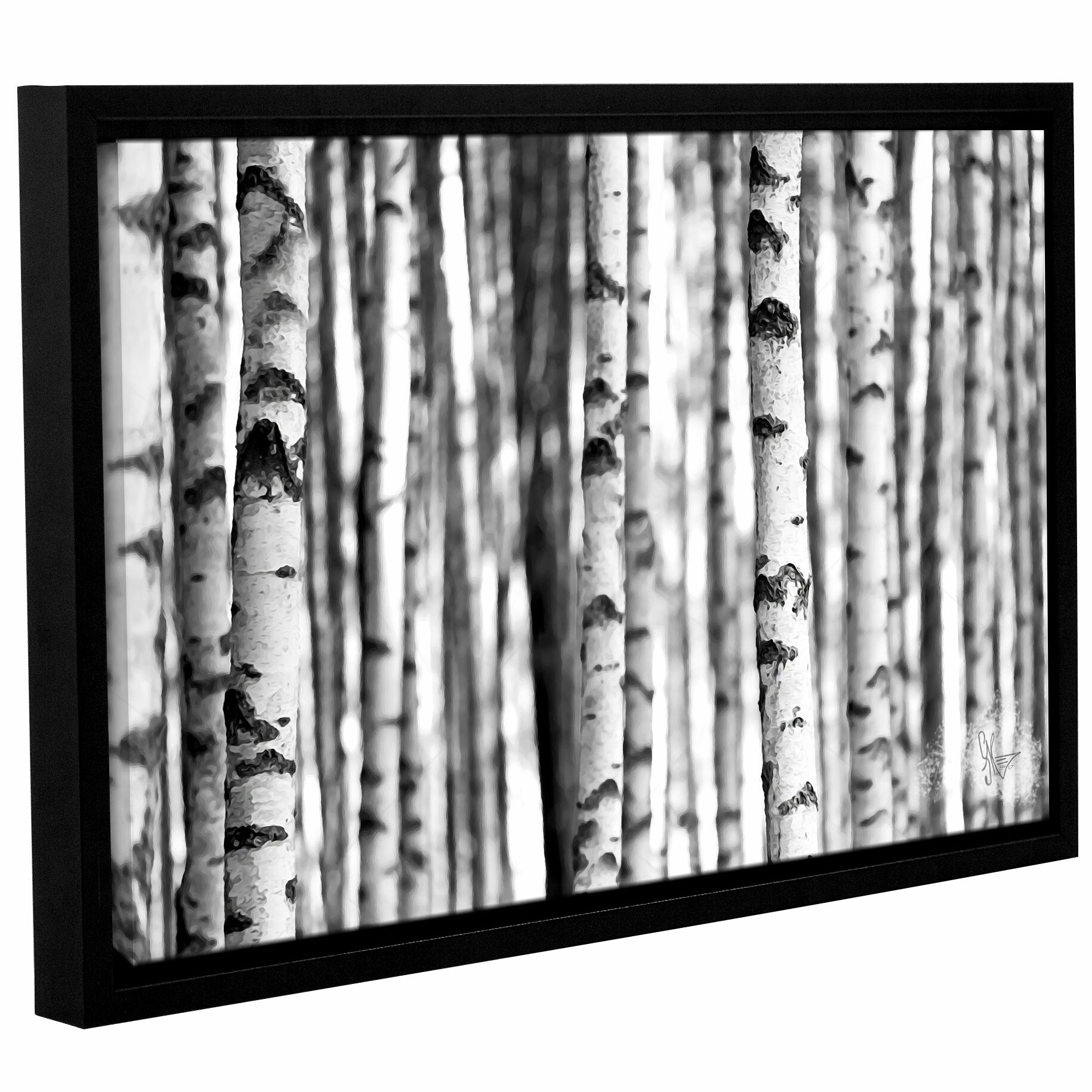 black and white birch tree art