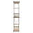 Anax Bookcase