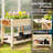Optimal Elevated Garden Bed,Wood Raised Planter Box,With Lockable Wheels,Side Tables,Bottom Shelf,Drain Holes-123350839