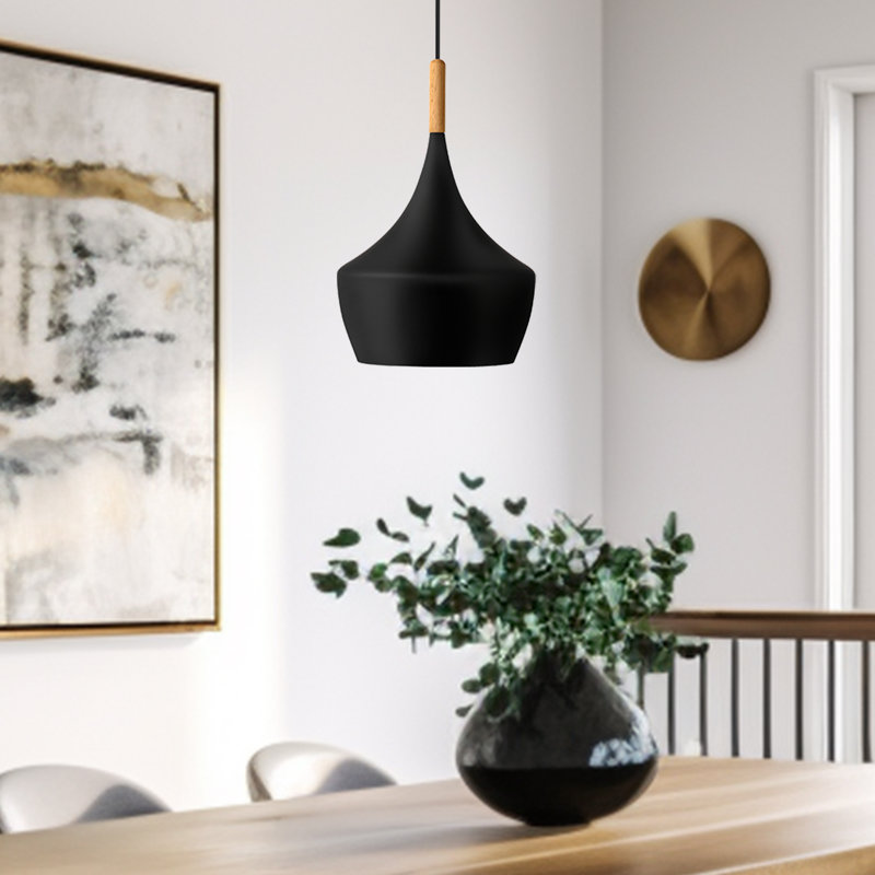 Luminaire suspendu noir 1 lumière