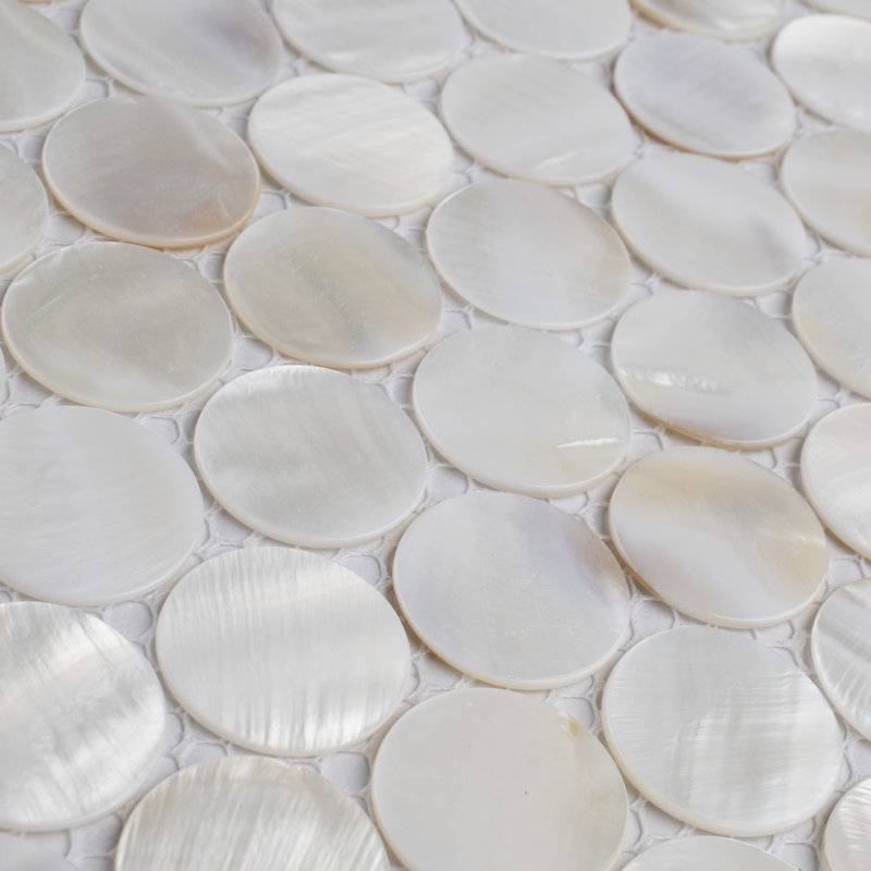 Conchella Penny White 11-1/4" x 11-5/8" Natural Shell Mosaic Tile