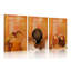 3 Piece Wrapped Canvas Print
