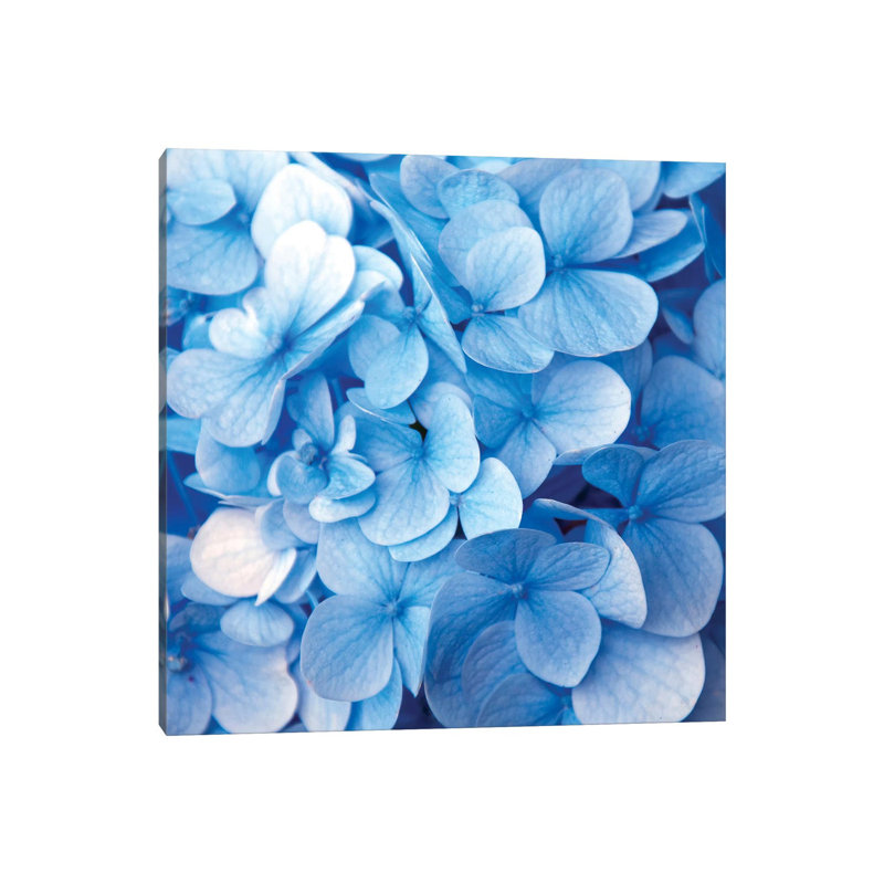 Blue Flowers - Print on Canvas, 93.98 cm H x 93.98 cm W x 1.91 cm D, No Framed