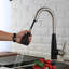 Orren Ellis Pickerington Pull Down Kitchen Faucet-1156754577