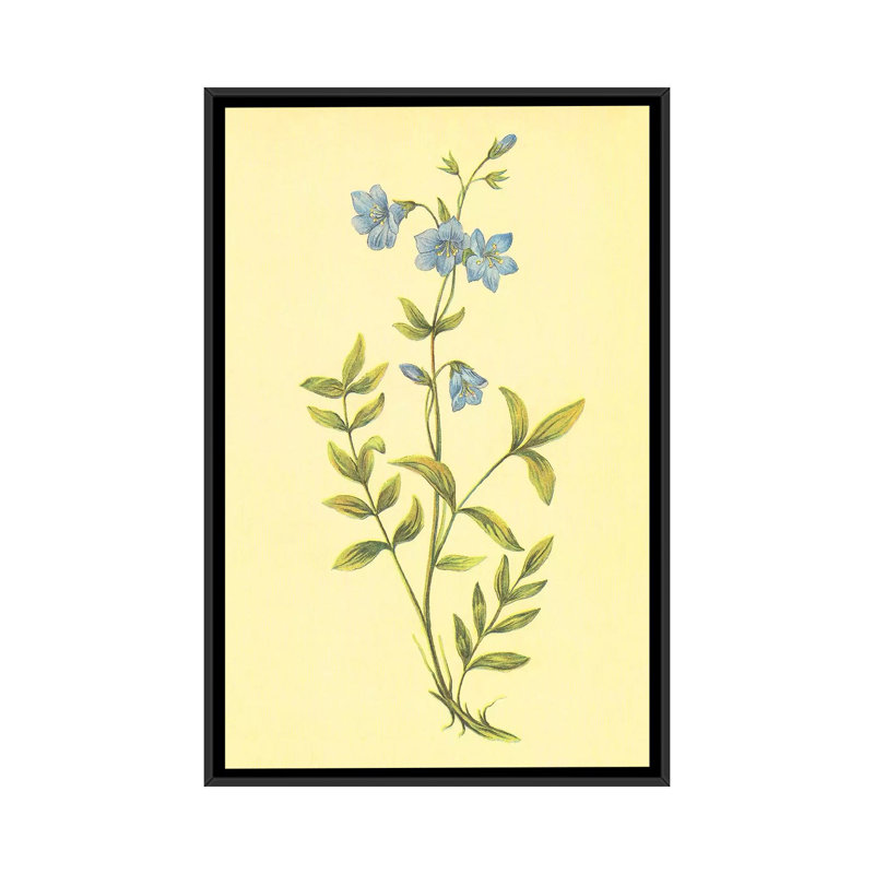 « grecs valerian », impression sur toile, H 26 po x l 18 po x P 1,5 po, Toile avec cadre noir, Pas de tapis
