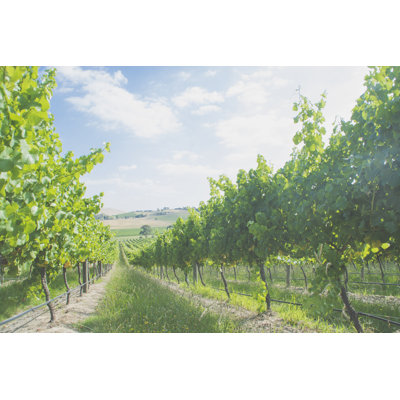 Australian Vineyards 1 Piece Wrapped Canvas Wall Art