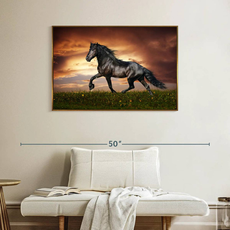 Cheval baroque, Cadre flottant doré, 40 po x 27 po