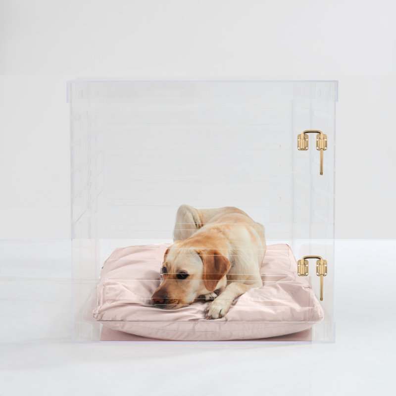 Large Clear View Pet Crate with Gold Latch, Blush