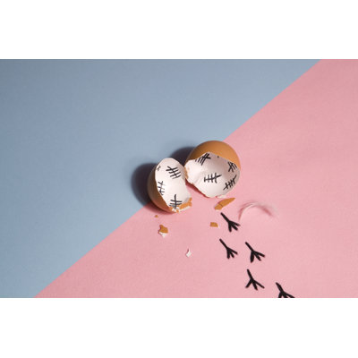 Germar Escape From Egg - Wrapped Canvas Print