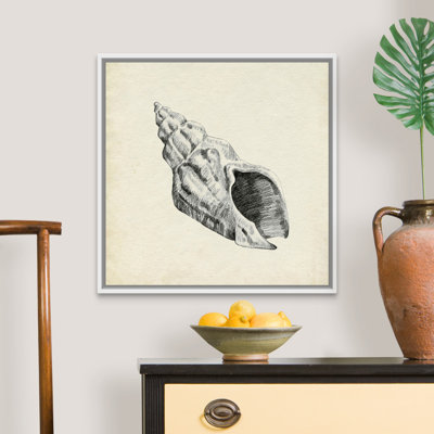 " Seashell Pencil Sketch II " by Emma Caroline Painting Print