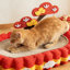 Carton ondulé pour lit de chat en carton ondulé ovale, grand bloc-notes anti-effilochage avec conception incurvée de salon, nid de jeu interactif durable pour les chatons d'intérieur et les chats adultes