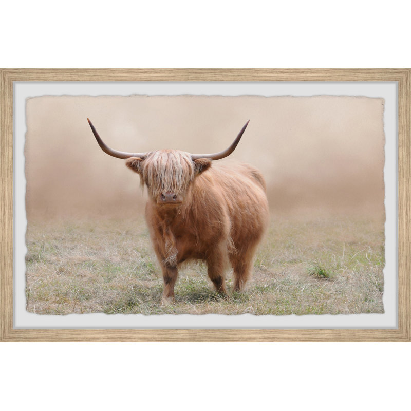 Foggy Pasture - Single Picture Frame Print, 20cm H x 30cm W x 3.81cm D