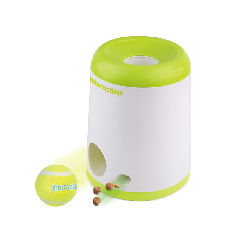 Jouet pour chien Interactives