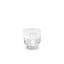 Toucan Crystal Drinking Glass