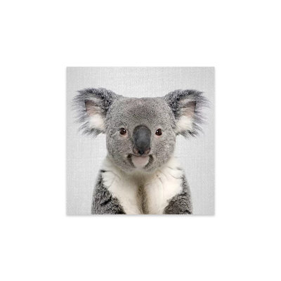 Koala, impression sur verre acrylique