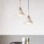 Luminaire suspendu noir 1 lumière
