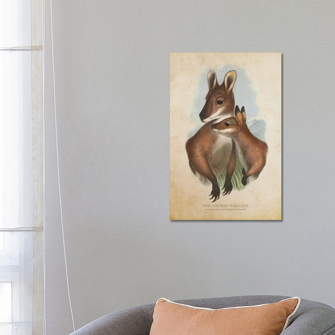 Vintage Red-Necked Wallaby von Aged Pixel - No Frame Gallery-Wrapped Canvas Giclée on Canvas