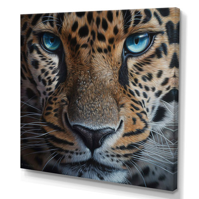 " Jaguar'S Gaze II "