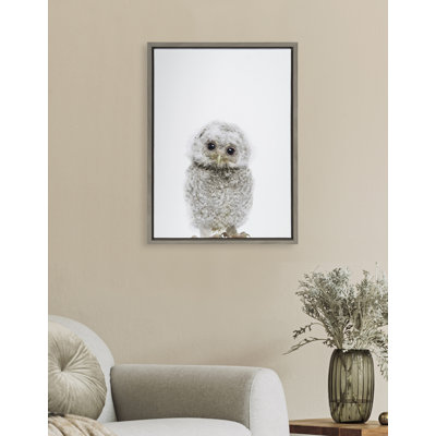 "Animal Studio Owl" par Amy Peterson, reproduction d'art sur toile encadrée