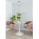 Mikels Semi Flush Mount