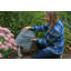 Spataro paysage jardin pierre-2040482810