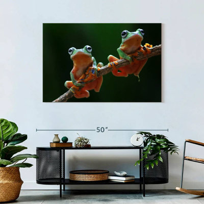 Two Wallace's Flying Frogs