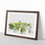Path to a Lone Tree - Framed Print-56851635-56851639