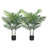 Adcock 2 - Piece Artificial Palm Tree in Pot Set, Faux Plant-753541834
