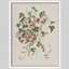 "Modern Morning Glory-101825606-101825602