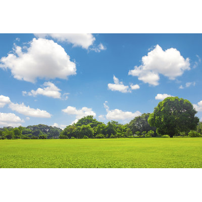 Green Park Outdoor With Blue Sky Cloud - Wrapped Canvas Print