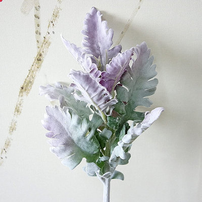 Chrysanthemum Leaf Arrangement