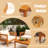 4-Piece Patio Furniture Set, Outdoor Furniture With Coffee Table, Patio Conversation Set Deep Seating With Thick Cushion For Backyard Porch Balcony,Teak Finish-1721707326