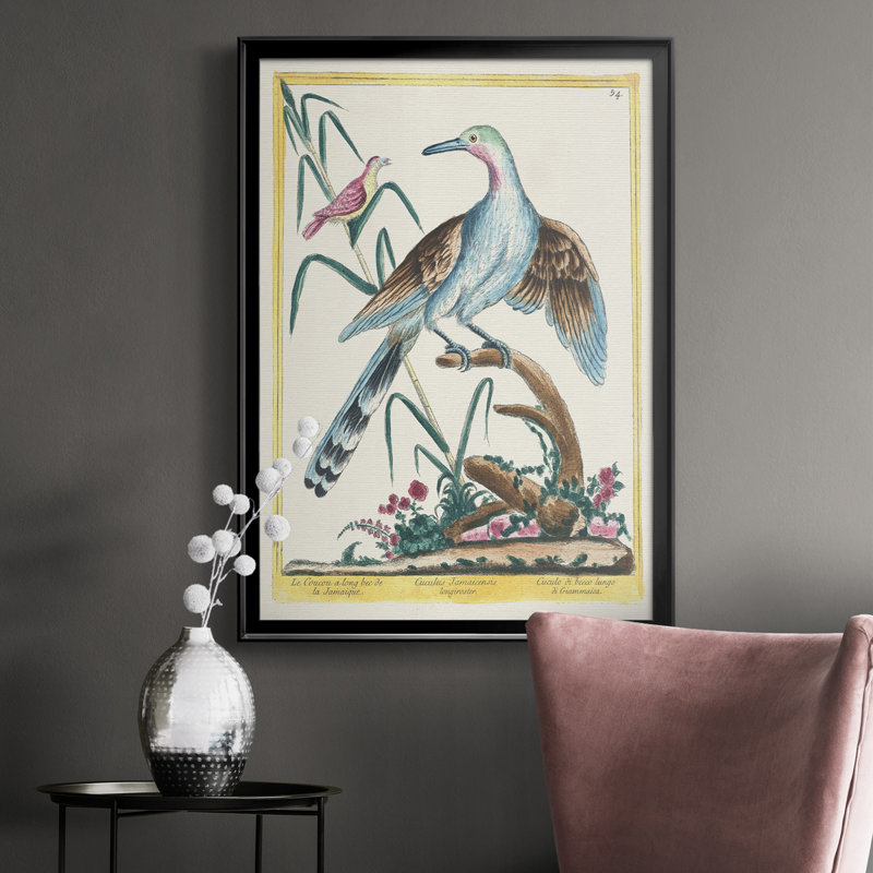 Toile encadrée Pastel Birds V Premium - prête à être accrochée, Noir, H 36,5 po x l 26,5 po x P 1 po