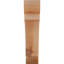 Attelle de genou olympique-31229533-31230593-29309935