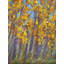 Free Fallin Print by Dina Gardner-1883702055-1981351934