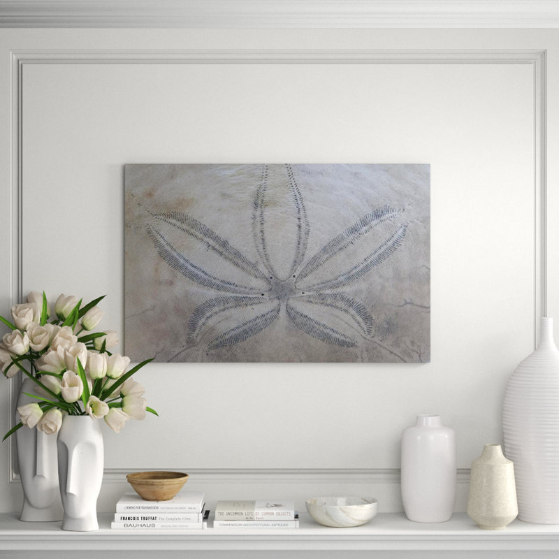 Sand Dollar I Print by Harold Davis, Outdoor, 26" H x 40" W x 1.5" D