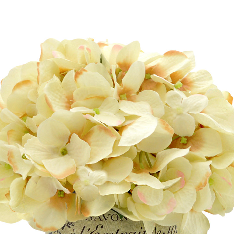 Cream Beige Hydrangea Cluster