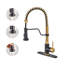 Bolden CASAINC 1.8 GPM Spring Neck Pull Down Kitchen Faucet with Deck Plate-93965528