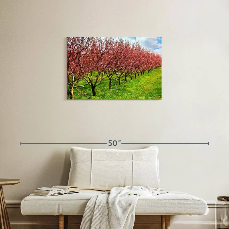 Fleurs de Harnek Peach Orchard, H 20 po x l 30 po