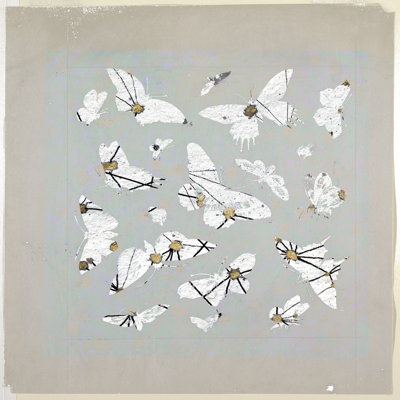 19Th Century Butterfly Constellations III by Lori Arbel - Wrapped Canvas Painting